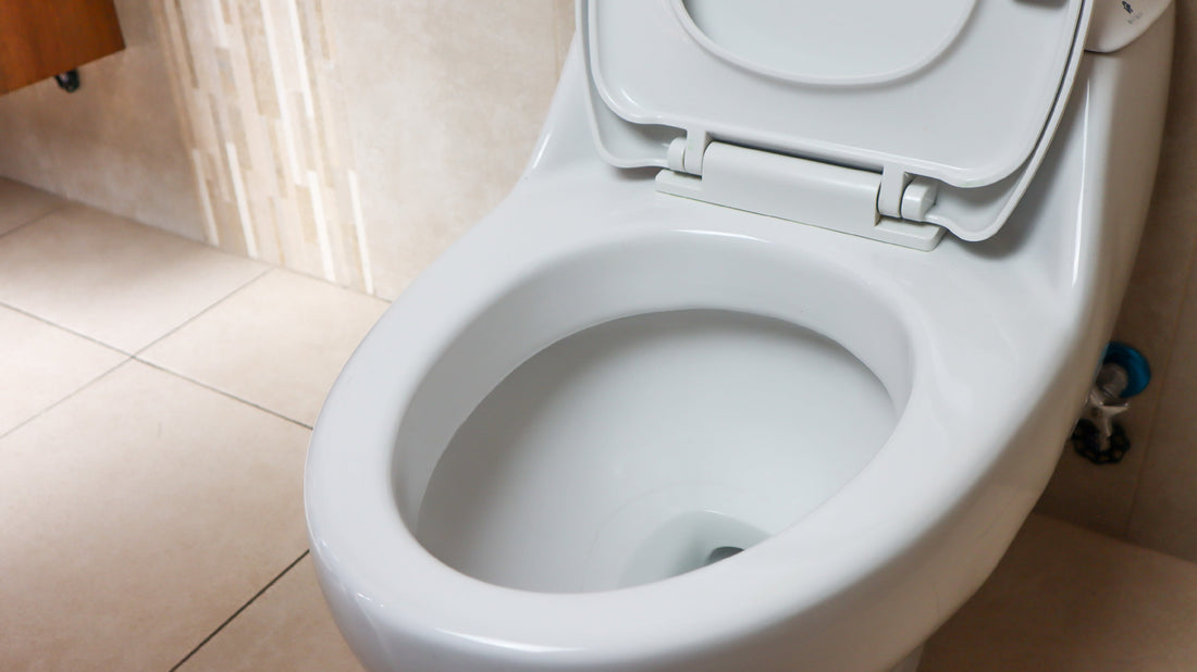 Cómo DESTAPAR INODOROS Fácil