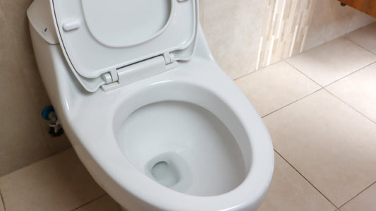 Cómo Eliminar SARRO de INODOROS Rápido